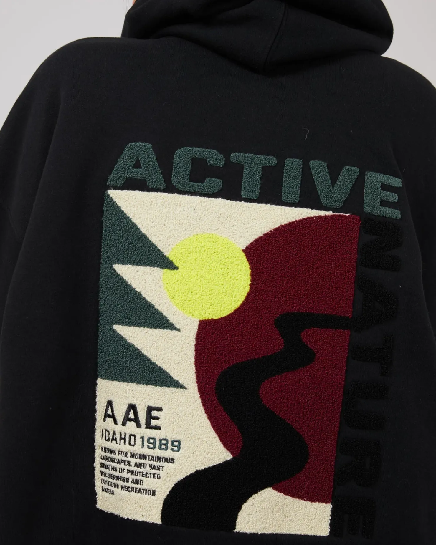 Discount All About Eve National Hoodie - Black