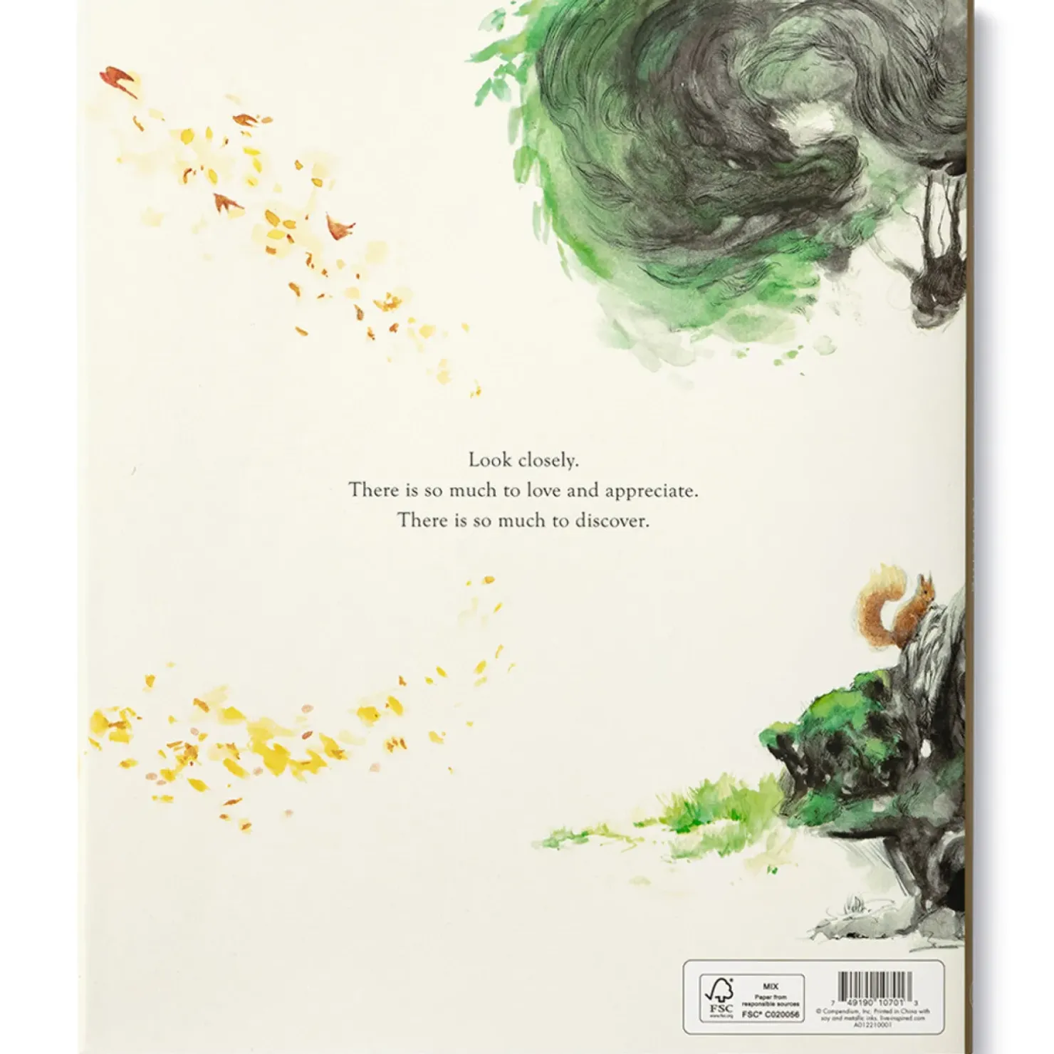 Best Compendium Noticing