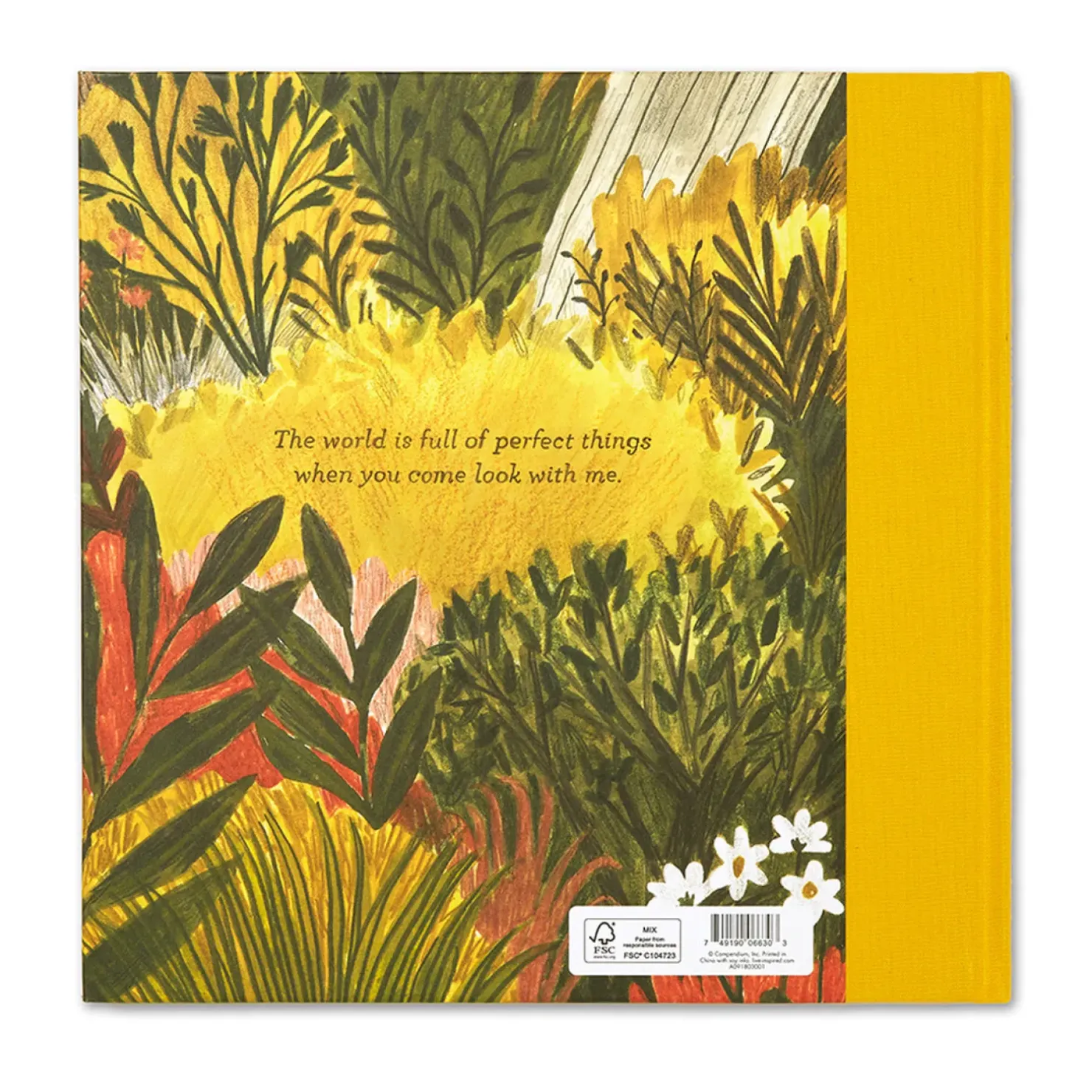 Best Compendium Tiny Perfect Things